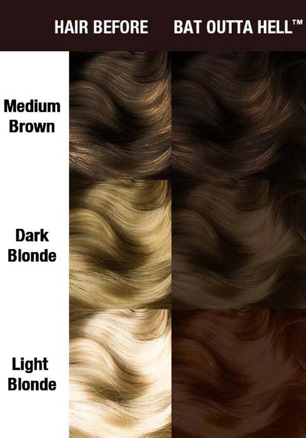 MANIC PANIC Bat Outta Hell | CLASSIC COLOUR - Back