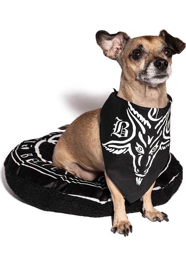 Blackcraft BCC Goat - Front View