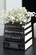 Black Cat Magick Book Stack | VASE