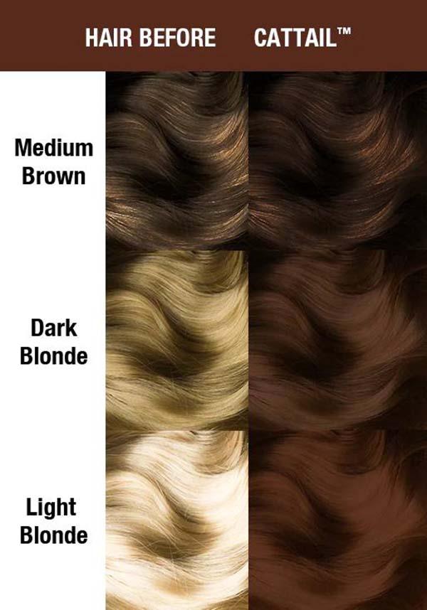 MANIC PANIC Cattail | CLASSIC COLOUR - Back