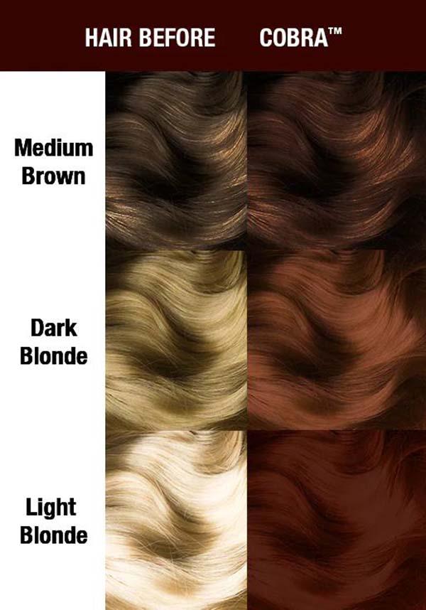 MANIC PANIC Cobra | CLASSIC COLOUR - Back