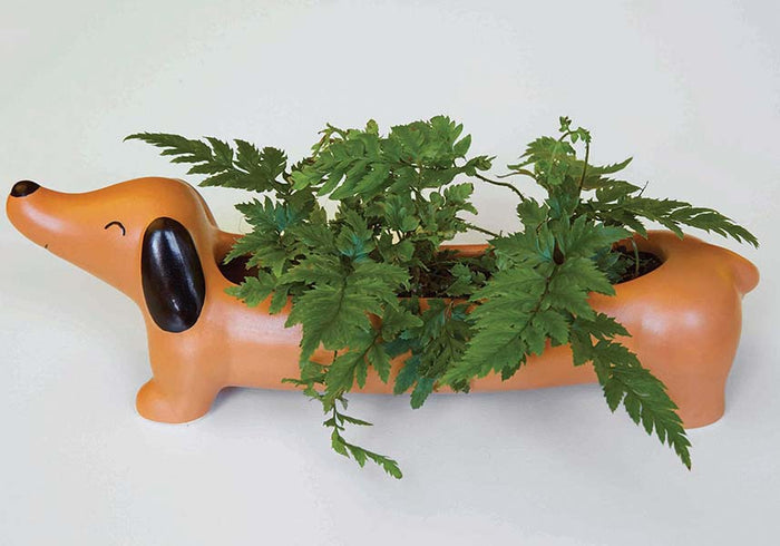 Kikkerland Daisy The Dachshund - Detail View