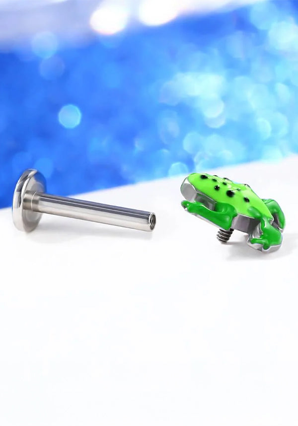 Oufer Frog - Back