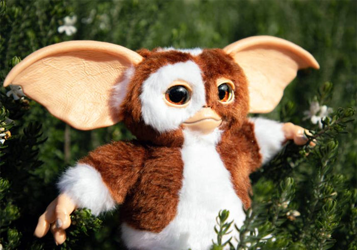 Collectables Gremlins: Replica Gizmo - Close Up