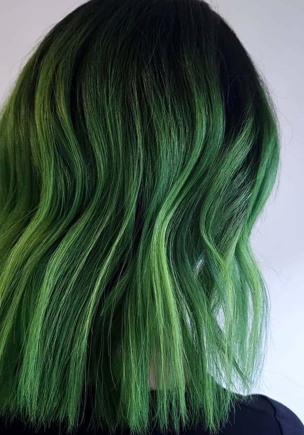 Crazy Color Pine Green - Back View