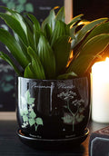 GOTHIC GIFTS Poisonous Plants | PLANT POT - Front
