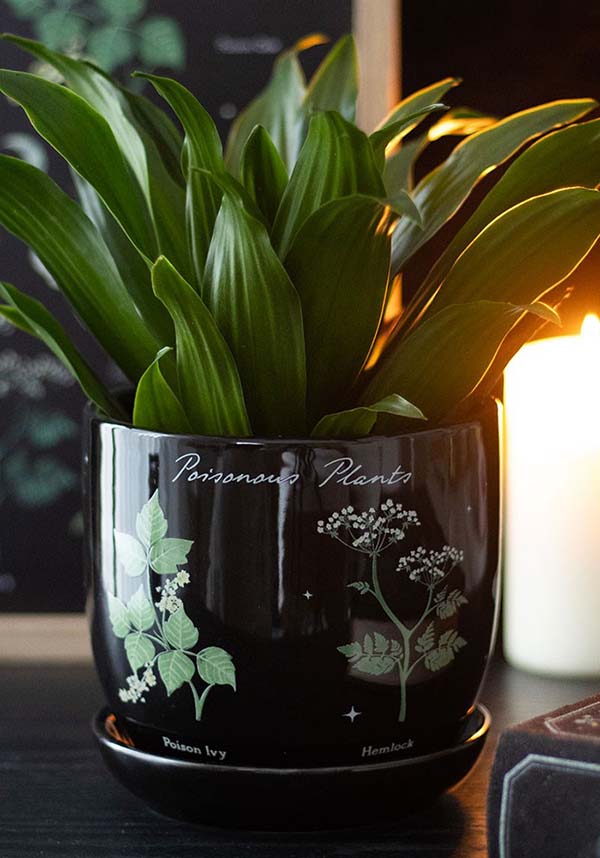GOTHIC GIFTS Poisonous Plants | PLANT POT - Front