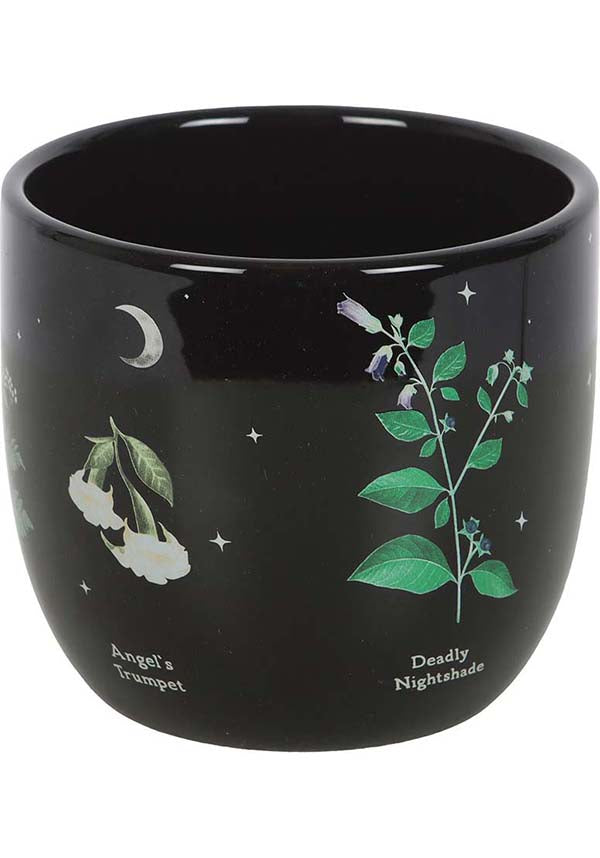GOTHIC GIFTS Poisonous Plants | PLANT POT - Back