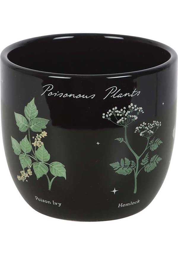 GOTHIC GIFTS Poisonous Plants | PLANT POT - Detail 2