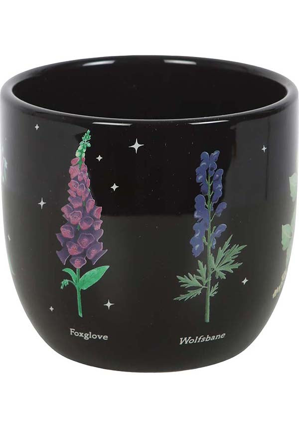 GOTHIC GIFTS Poisonous Plants | PLANT POT - Detail 3