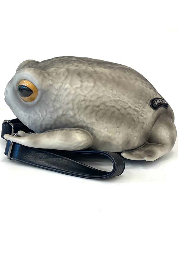 Windy Willow Rain Frog [Grey] - Front View