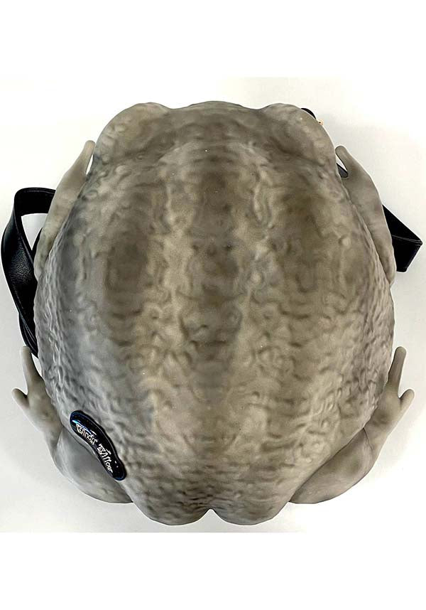 Windy Willow Rain Frog [Grey] - Detail View