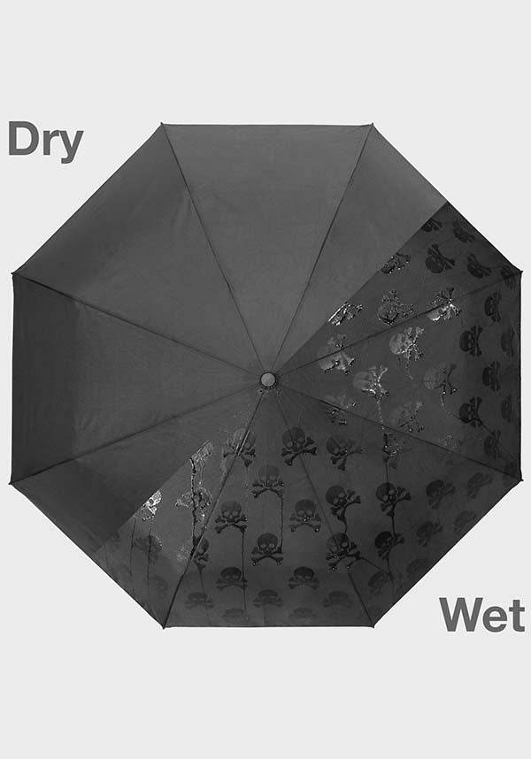 Skull | UMBRELLA