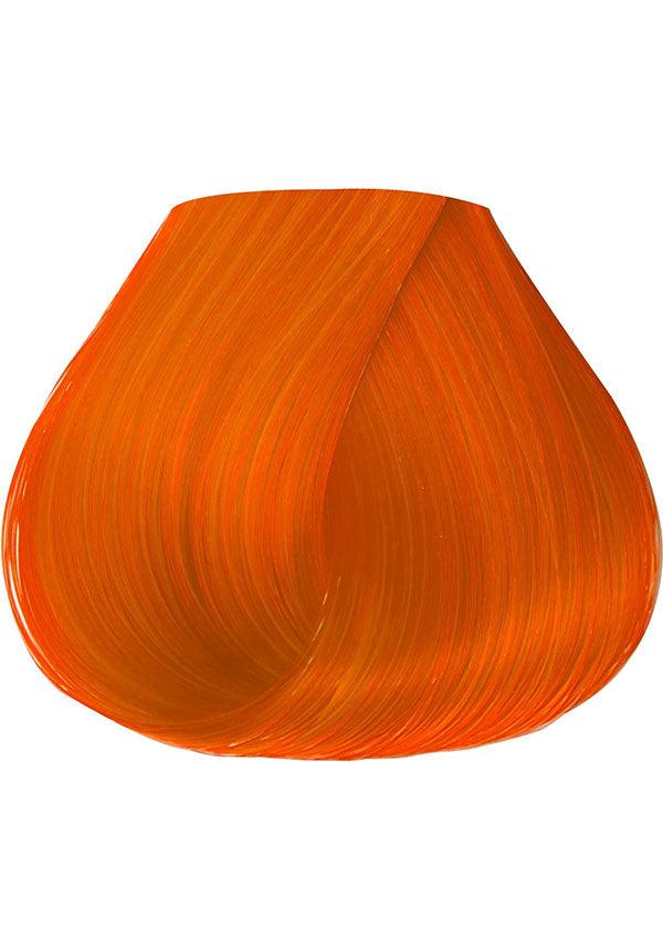Adore Sunrise Orange - Side View