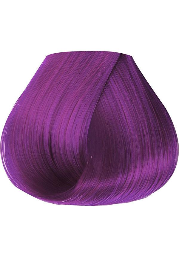 Adore Violet Gem - Detail View