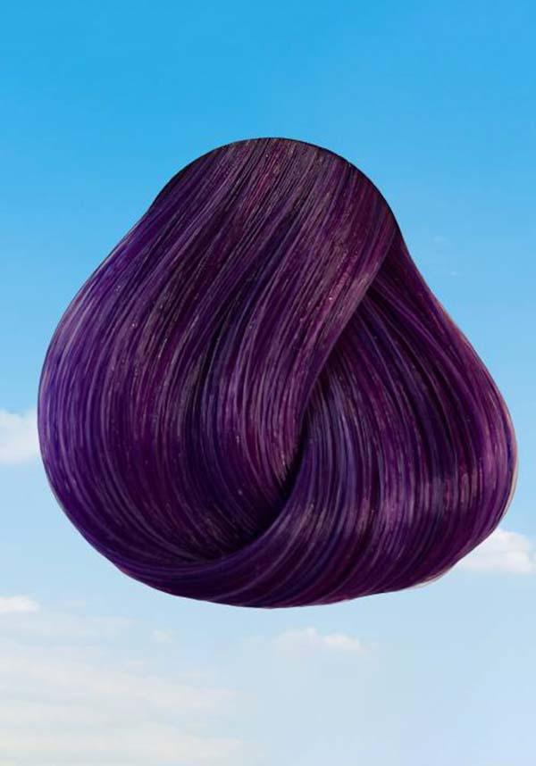 Directions Violet - Close Up